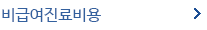 외래비급여내역