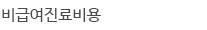 외래비급여내역