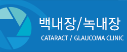 백내장/녹내장