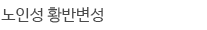 노인성황반변성