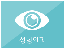 성형안과